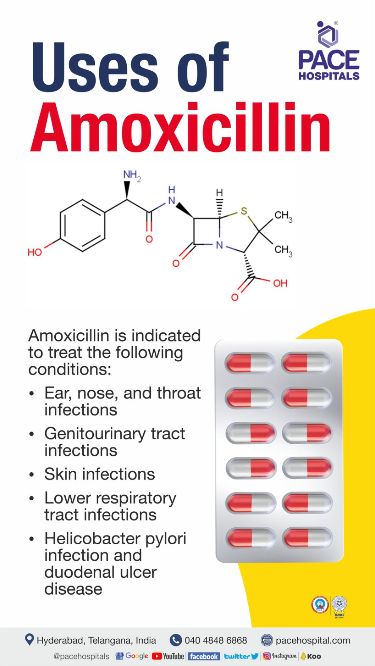 Amoxicillin (Antibiotic – Penicillin Class)